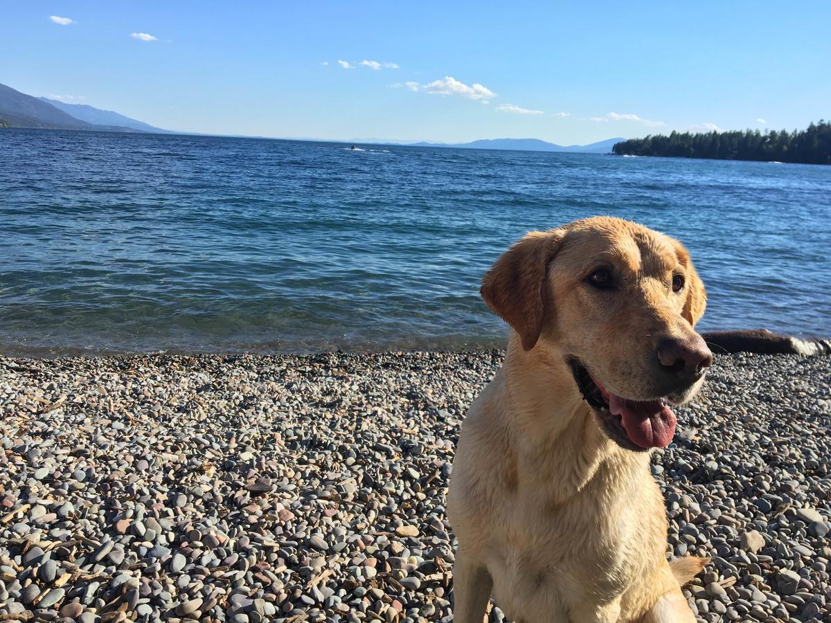 Woods Bay Flathead Lake Resort מראה חיצוני תמונה